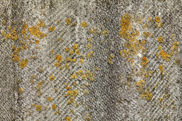 Estructura Pizarra Gris Techo Con Trozos Musgo Amarillo Textura Para —  Fotos de Stock