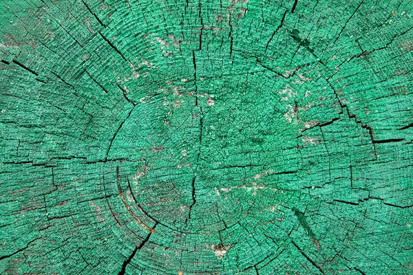 페인트 질감에 그려진 나무의 — 스톡 사진