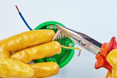 Uzun burun lu lar yuvarlak elektrik kutusunu yükler.