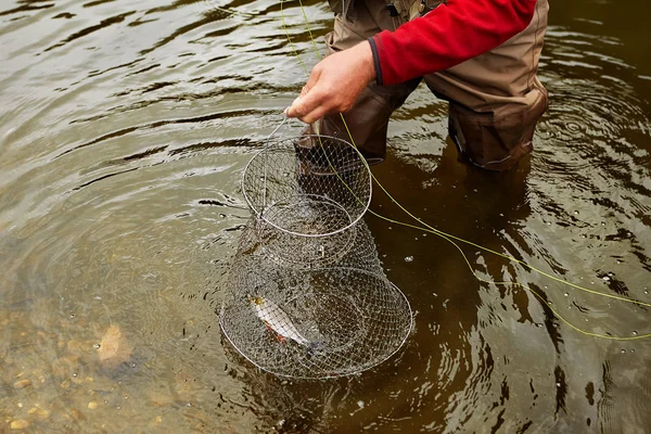 Een visser zet een kleine vis in de kooi van de visserij. — Stockfoto