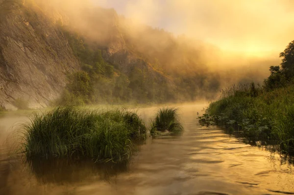 Neblige Morgendämmerung am Fluss. — Stockfoto