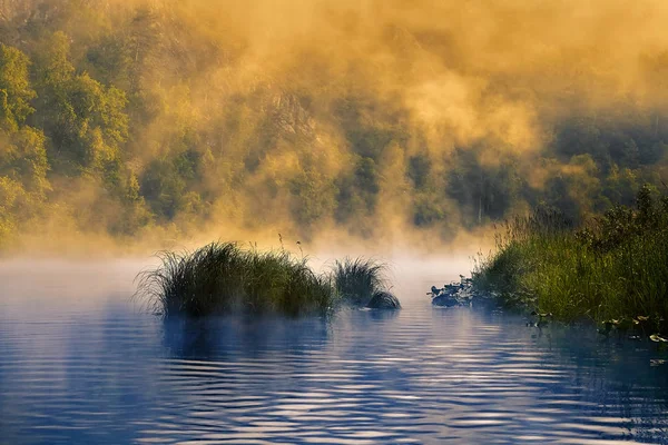 Morgennebel über einem ruhigen Fluss. — Stockfoto