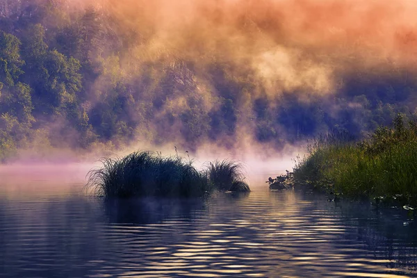 Nebliger Morgen auf einem Gebirgsfluss. — Stockfoto