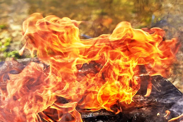 Flammen von Waldbrand zerstören Anwesen auf Campingplatz — Stockfoto