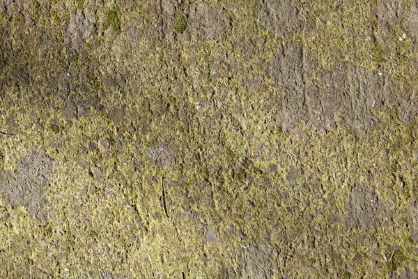 Green Concrete Wall Texture Erosion Scratches Weathered Surface Shabby Paint — Stock Photo, Image