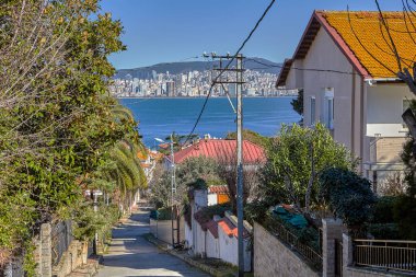 İstanbul, Türkiye - 13 Şubat 2020: Princes Adaları, Adalar Bölgesi, Marmara Denizi 'ne uzanan Büyükkada Adası dar caddesinde tatil villaları ve bahçeleriyle.