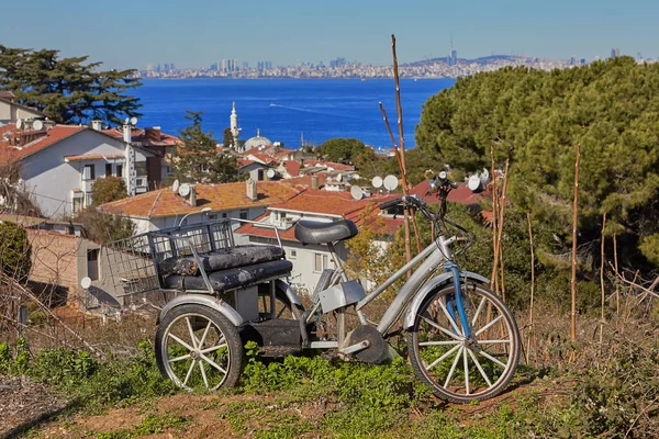 Stanbul Türkiye Şubat 2020 Princes Adaları Adalar Lçesi Büyükada Adası — Stok fotoğraf