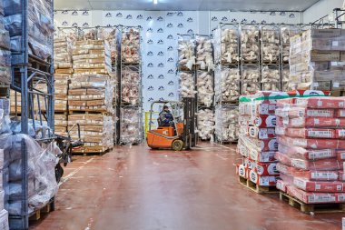 St. Petersburg, Rusya - 10 Ekim 2016: Bozulabilir et ürünleri depolamak için soğuk depo, market deposu. Depo donduruluyor. Sürücü elektrikli palletizer ya da forklift kullanıyor..