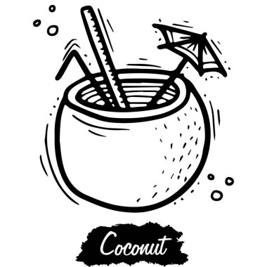 Hindistan cevizi beyaz arka planda izole edilmiş. Klasik siyah vektör kabartma çizimi. Grafik biçiminde çizilmiş el.