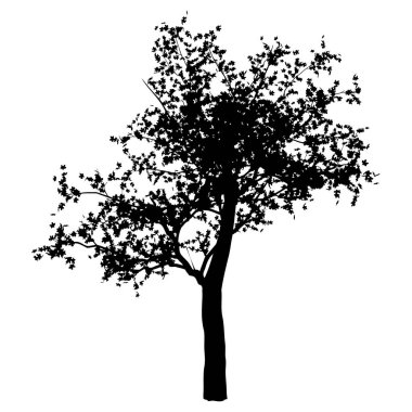 Beyaz arkaplanda izole edilmiş vektör ağaç silueti