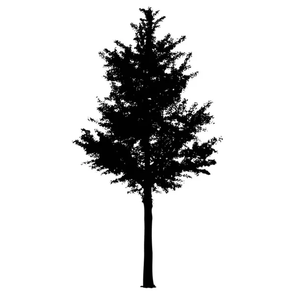 Silueta de árbol vectorial aislada sobre fondo blanco — Vector de stock