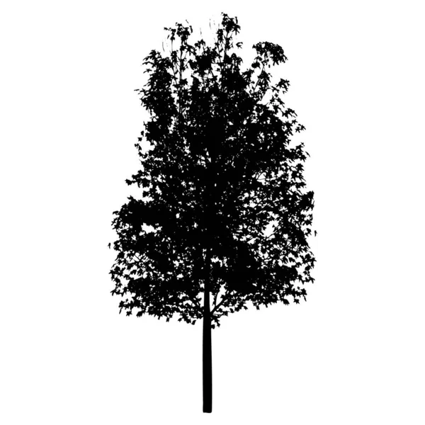 Vectorboom silhouet geïsoleerd op witte achtergrond — Stockvector