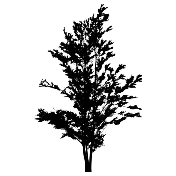 Silhouette d'arbre vectoriel isolé sur fond blanc — Image vectorielle