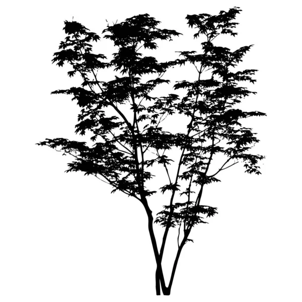 Silhouette d'arbre vectoriel isolé sur fond blanc — Image vectorielle