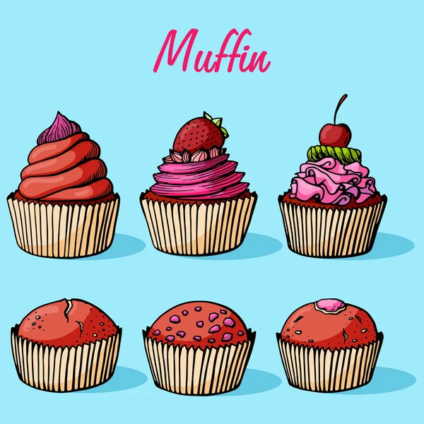 Muffin Zestaw Prosty Ilustracja Kolekcja Babeczek Różnych Smakach Kolorowe Ręcznie — Wektor stockowy