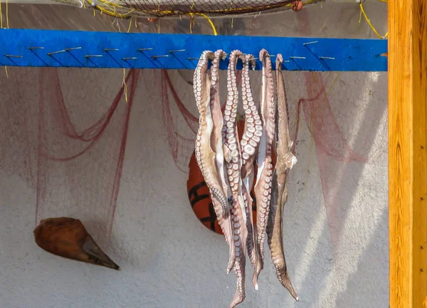 Čerstvé Chobotnice Chytil Oceánu Řecku Zavěšením Modré Dřevěné Desce Slunné — Stock fotografie