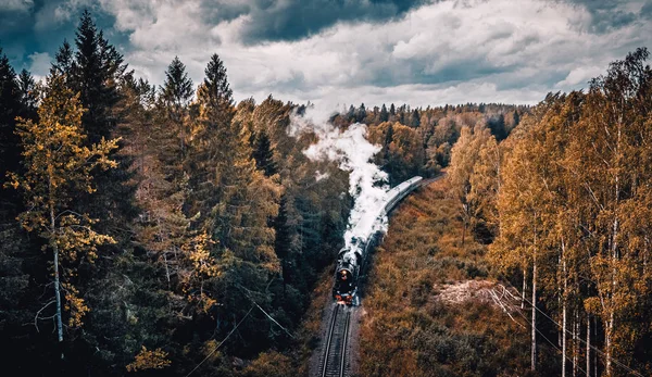 Ancienne Locomotive Vapeur Soviétique Passant Dans Forêt Carélienne — Photo