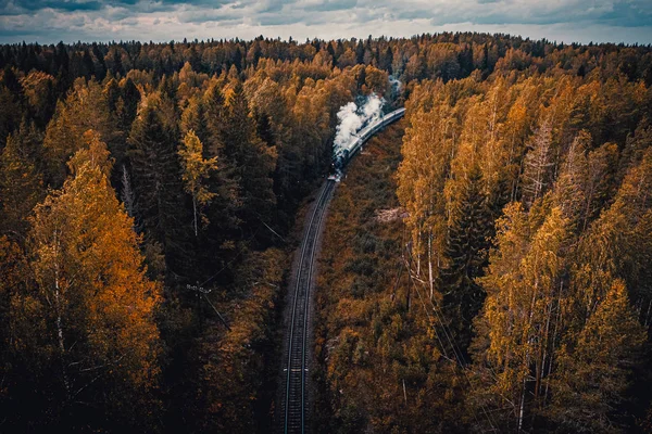 Ancienne Locomotive Vapeur Soviétique Passant Dans Forêt Carélienne — Photo