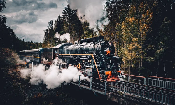 Karelian forrest olsa geçen eski Sovyet buharlı lokomotif