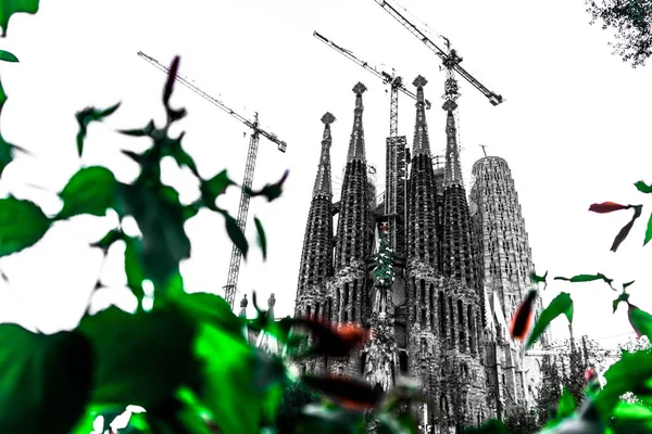 Templo Sagrada Familia Vista Parque Barcelona — Foto de Stock