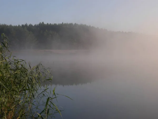 Gölet üzerinde sabah erken sis