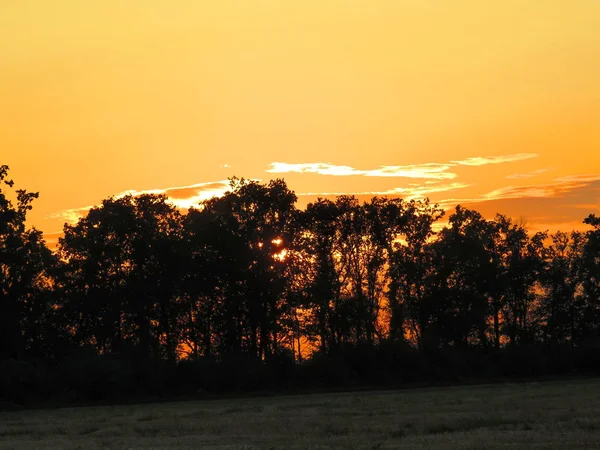 Turuncu tonlarda ormanın üzerinde gün batımı