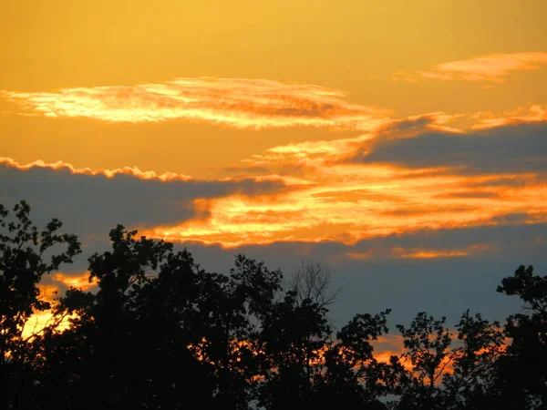 Захід Сонця Над Лісом Помаранчевих Тонах — стокове фото
