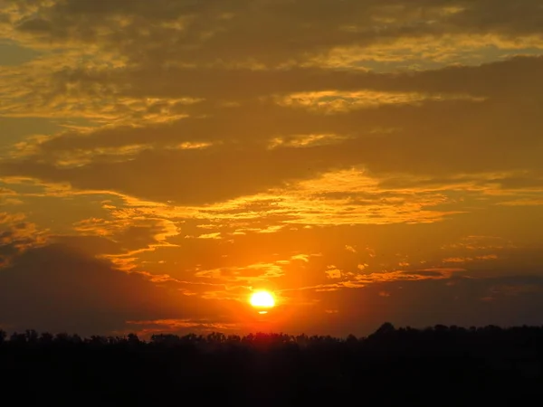 Turuncu tonlarda ormanın üzerinde gün batımı