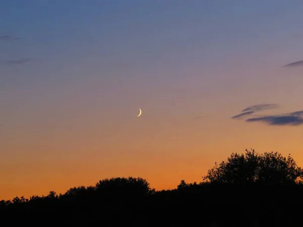 Gün batımı - maviden turuncuya geçiş, ayın merkezinde, ufukta, karanlık ağaçlar