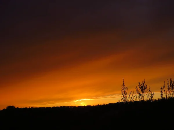 yaz gün batımının güzel turuncu tonları