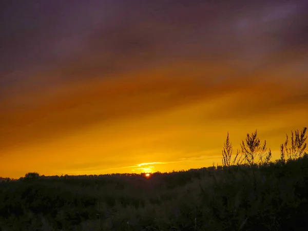yaz gün batımının güzel turuncu tonları