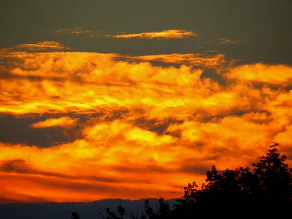 Smoky clouds are painted in orange tones by summer sunset