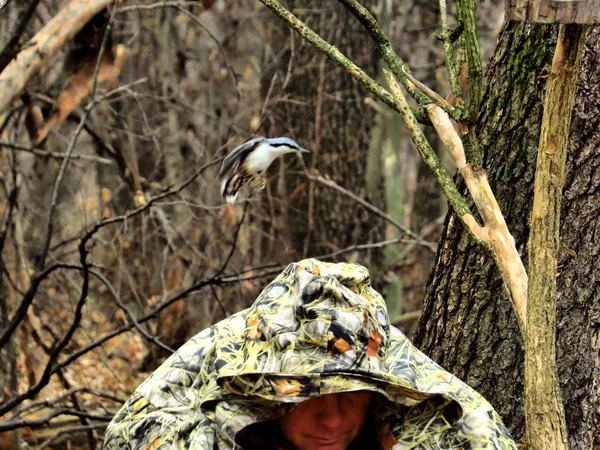 Passarinho Voa Sobre Observador Manto Camuflagem — Fotografia de Stock