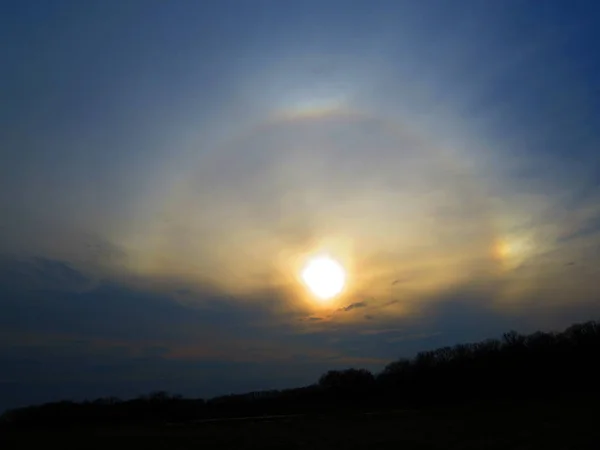 Orman üzerinde gün batımından önce güneşin etrafında büyük hale