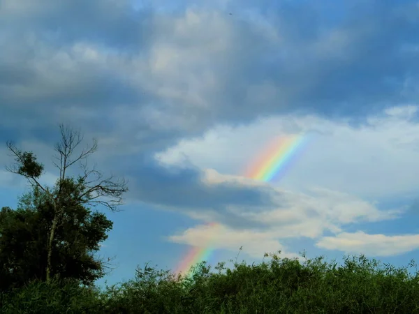 Sazlıkların üzerindeki küçük bulutlar da parlak gökkuşağı