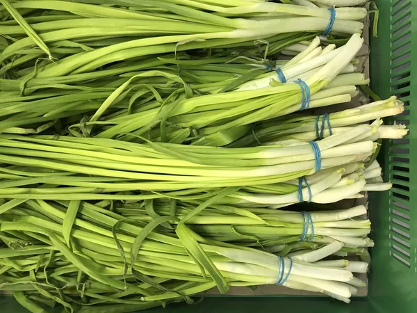 Leaves of bulb onion. Crushed onions (Latin llium cpa) is a perennial herb, a species of the genus Onion (Allium) of the Onion family (Alliaceae), a widespread vegetable crop.