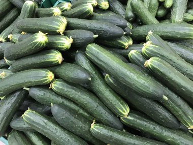 Uzun-salatalık ile güçlü ve taze, gevrek et şenlikli bir tablo için ve her gün yemek için iyidir.