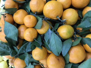 Clementines yuvarlak, basık, ince, turuncu-kırmızı deri ile küçüktür. Geçiş mandarin ve portakal 1 tarafından elde
