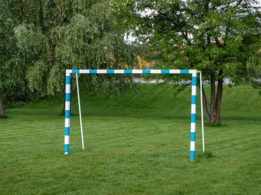 Top topu yeşil çimlere sabitlendi