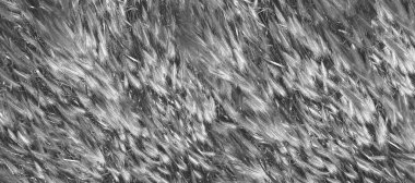 Çok renkli fırça darbeleri biçiminde soyut arkaplan.