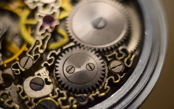 Mecanismo Com Engrenagens Esqueleto Relógio Elegantes Relógios Bolso Artesanais Vintage — Fotografia de Stock