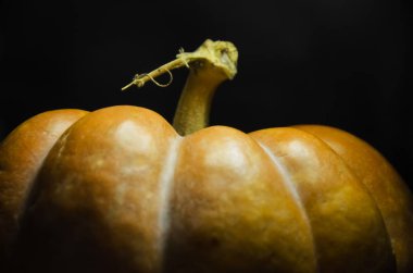 Balkabağı kapaklı kompozisyon. Sonbahar sıcacık hayatı. Şükran Günü ve Cadılar Bayramı konseptiniz kutlu olsun. Boşluğu kopyala