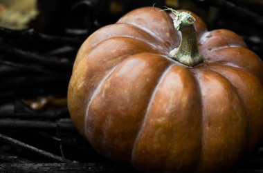 Balkabağı kapaklı kompozisyon. Sonbahar sıcacık hayatı. Şükran Günü ve Cadılar Bayramı konseptiniz kutlu olsun. Boşluğu kopyala