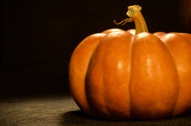 Balkabağı kapaklı kompozisyon. Sonbahar sıcacık hayatı. Şükran Günü ve Cadılar Bayramı konseptiniz kutlu olsun. Boşluğu kopyala