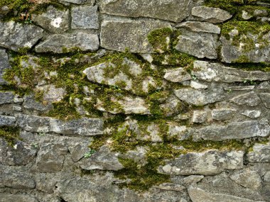 Yosun kaplı taş duvar