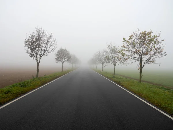 Straight Road Autumn Fog — Stock Photo, Image