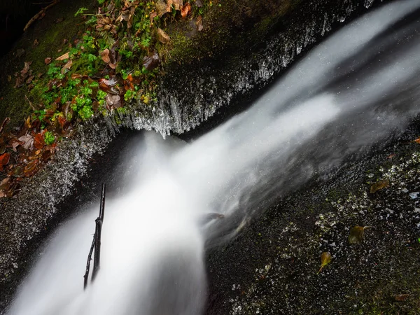 Dzikim Lesie Creek Jesienna Pogoda Lodowych — Zdjęcie stockowe