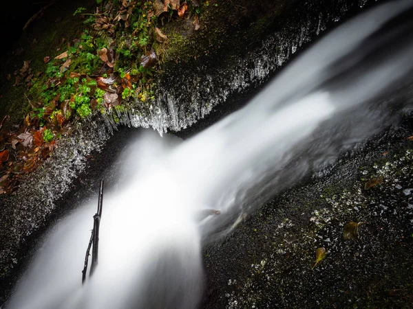 Divoká Lesní Potok Podzimní Ledové Počasí — Stock fotografie