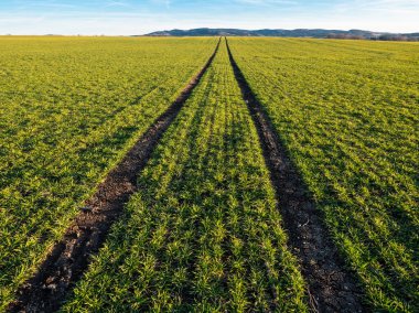 Traktör ruts yeşil sahada