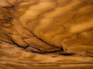 Zeytin ahşap doku, ahşap desen